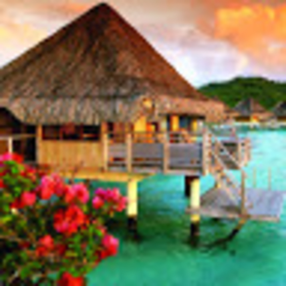 Meet your Posher, Yan